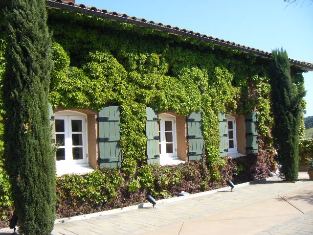 San Francisco: Half-Day Wine Country Tour with Wine Tastings - Leaving Fisherman’s Wharf around midday