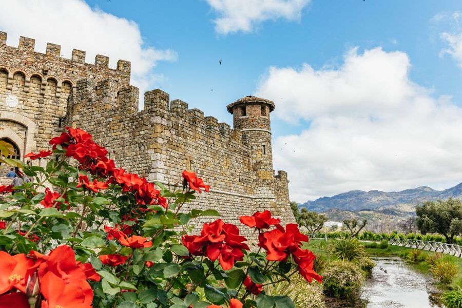 San Francisco: Luxury Small-Group Wine Tour of Napa Valley - Calistoga gives you breathing room