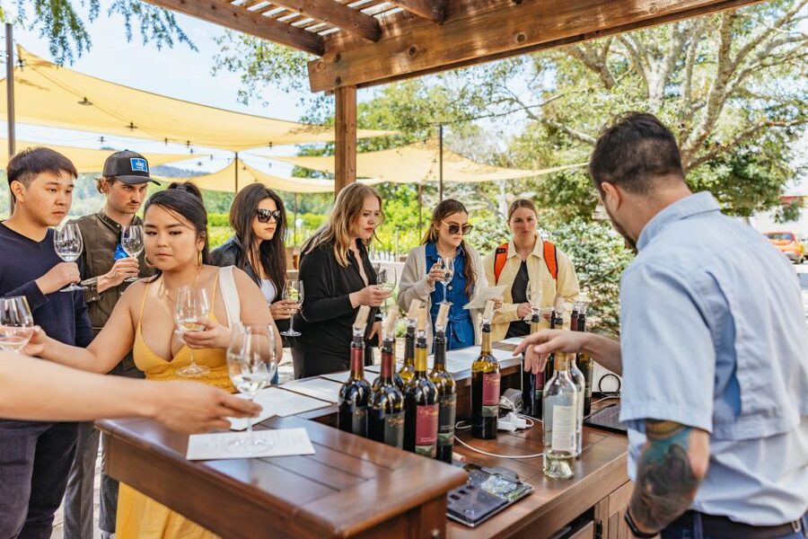 San Francisco: Luxury Small-Group Wine Tour of Napa Valley - Ru Vango and the Carneros connection