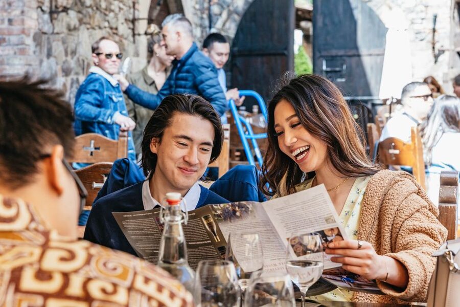 San Francisco: Luxury Small-Group Wine Tour of Napa Valley - The vehicle and the pace
