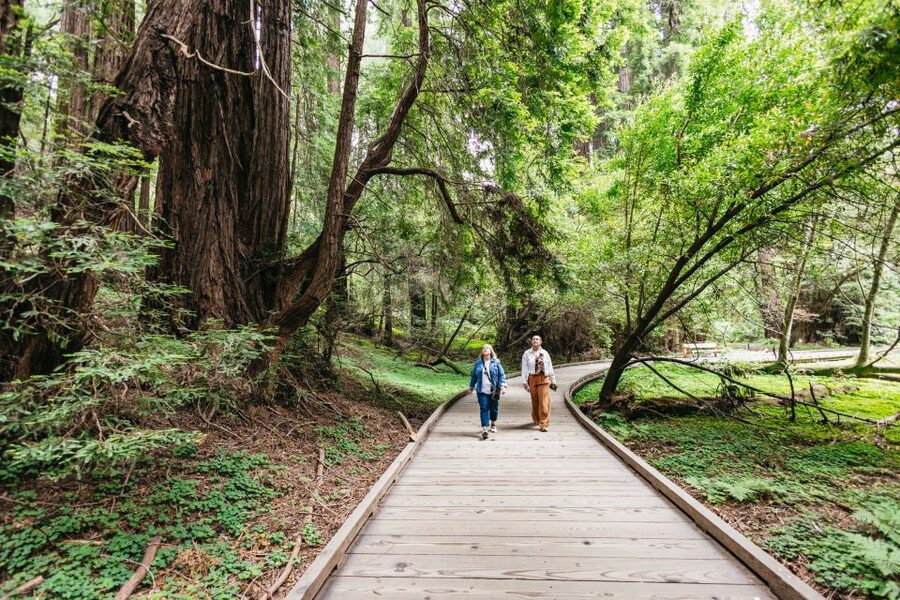 San Francisco: Muir Woods, Napa & Sonoma Valley Wine Tour - The guide can shape the whole day