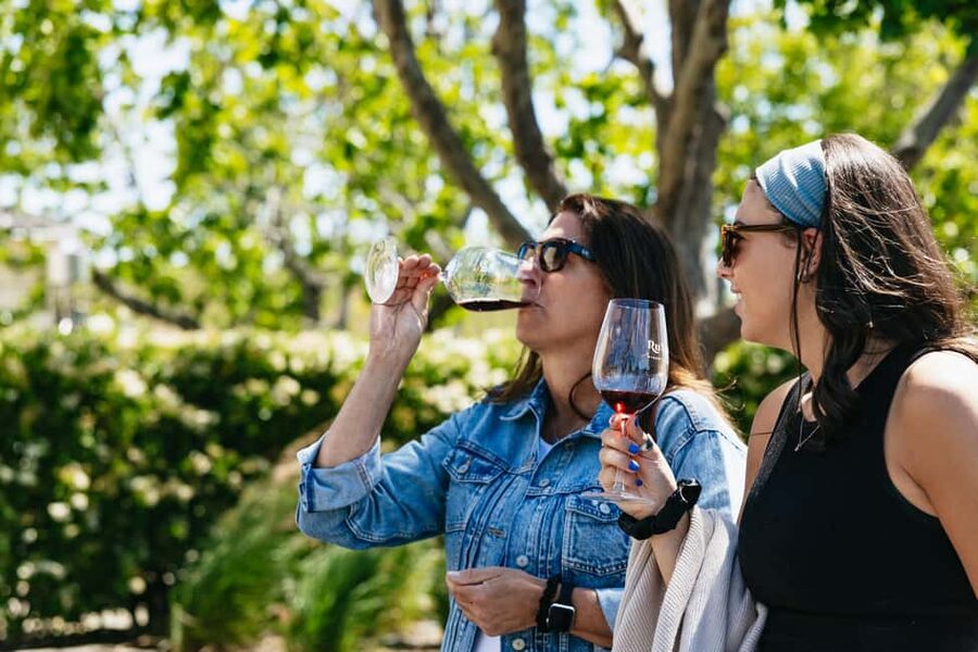 San Francisco: Napa and Sonoma Valley Wine Tour - Why this tour works well from San Francisco