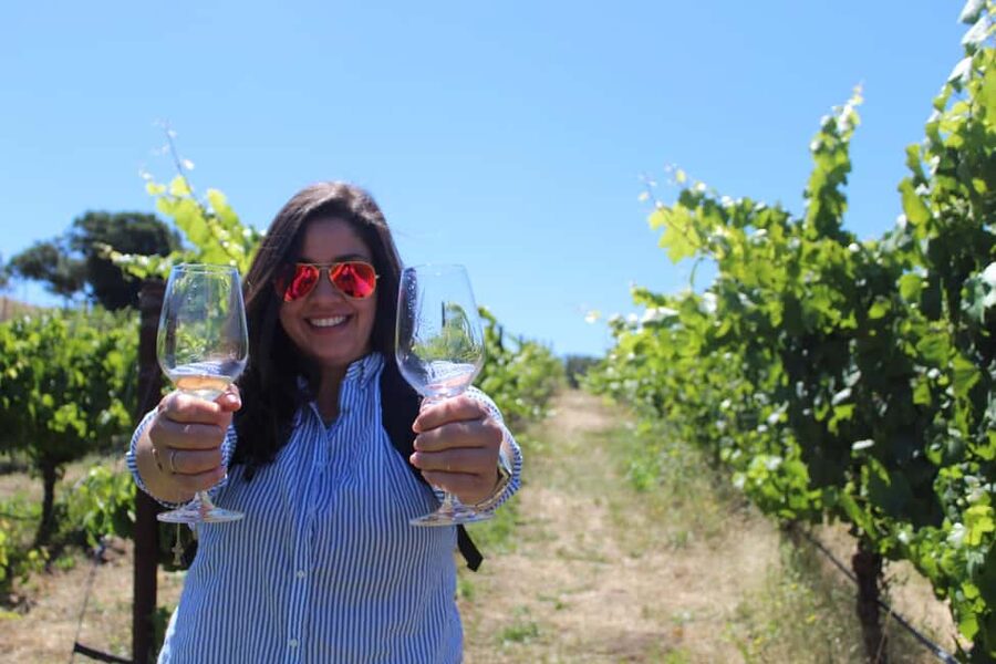 San Francisco: Napa and Sonoma Valley Wine Tour - What the three winery visits are like