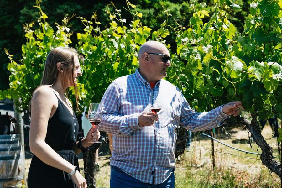 San Francisco: Napa and Sonoma Valley Wine Tour - Sonoma Plaza gives you a useful break