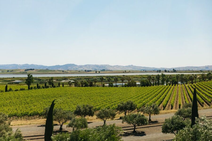 San Francisco: Napa and Sonoma Valley Wine Tour - The final tasting and ride back