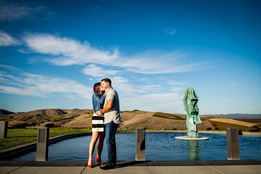 San Francisco: Napa and Sonoma Valley Wine Tour - Who should choose this day out?