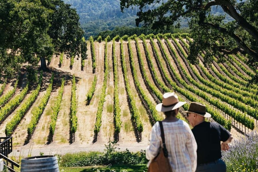 San Francisco: Napa and Sonoma Valley Wine Tour - The early ride and Golden Gate Bridge stop