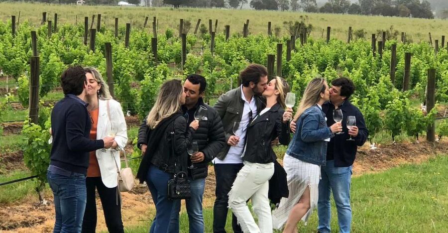 San Francisco: Napa Valley Half-Day Wine Tour with Tastings - Key points at a glance
