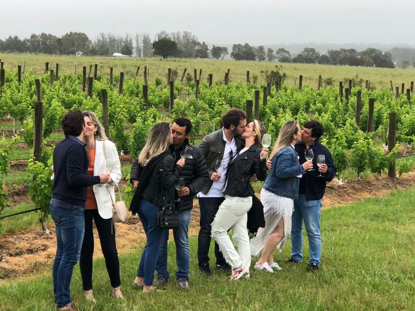 San Francisco: Napa Valley Half-Day Wine Tour with Tastings - Crossing the Golden Gate and passing Sausalito