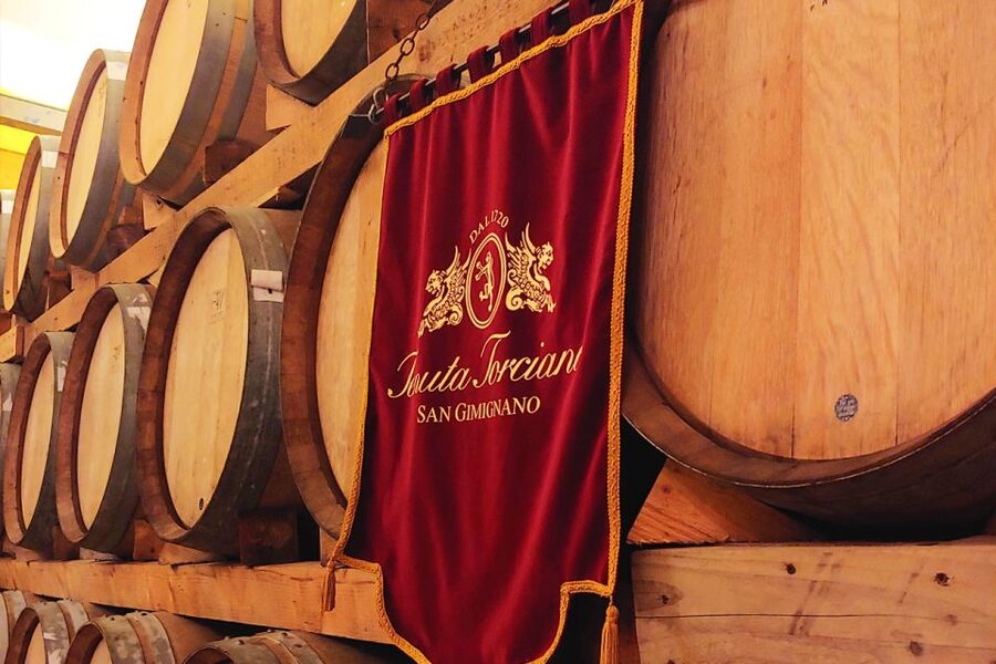 San Gimignano: Lunch or Dinner at a Winery with Wine Tasting - Who will enjoy this experience most