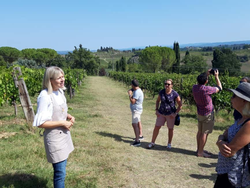 San Gimignano: Premium Wine Tour with Lunch - Key points at a glance