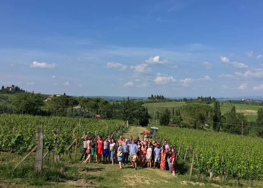 San Gimignano: Premium Wine Tour with Lunch - A Tuscan wine stop with a proper lunch attached