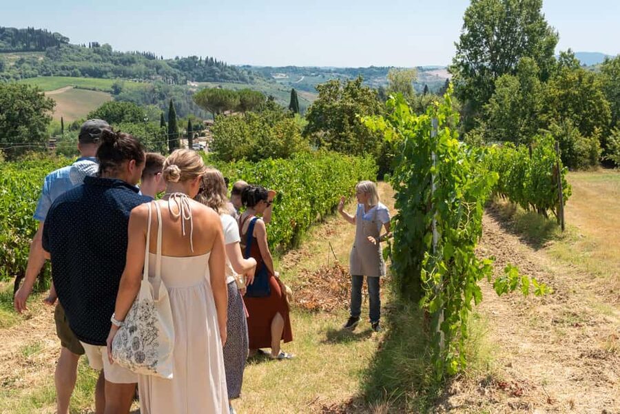 San Gimignano: Premium Wine Tour with Lunch - Five wines, from Vernaccia to Supertuscan