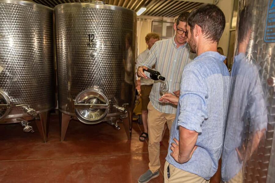 San Gimignano: Premium Wine Tour with Lunch - Why the food pairing adds real value