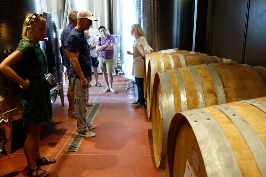 San Gimignano: Premium Wine Tour with Lunch - The guide and the tone of the visit