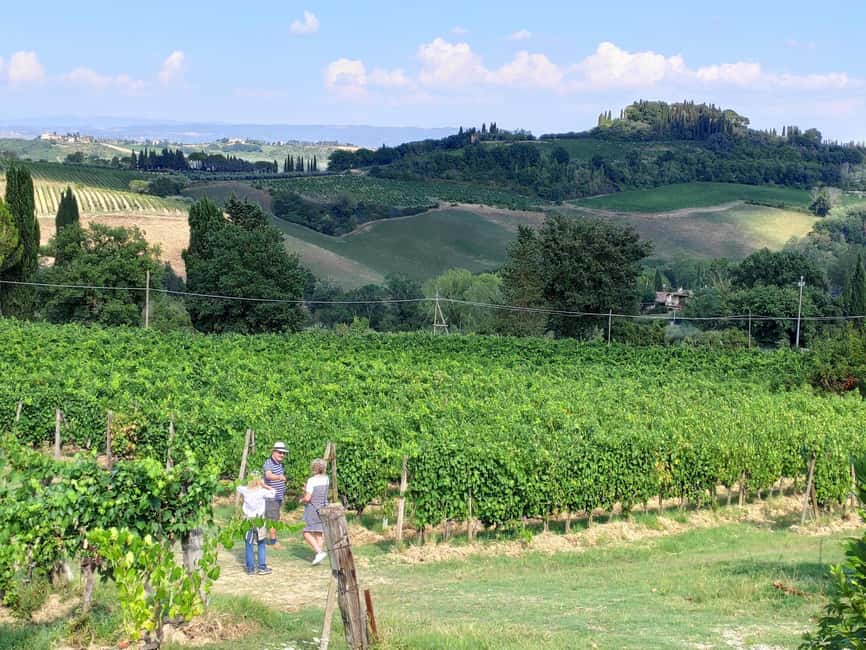 San Gimignano: Premium Wine Tour with Lunch - Who should book this San Gimignano wine tour?