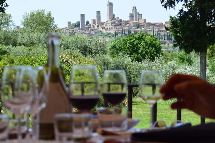 San Gimignano: Premium Wine Tour with Lunch - Walking through the vineyard and cellar