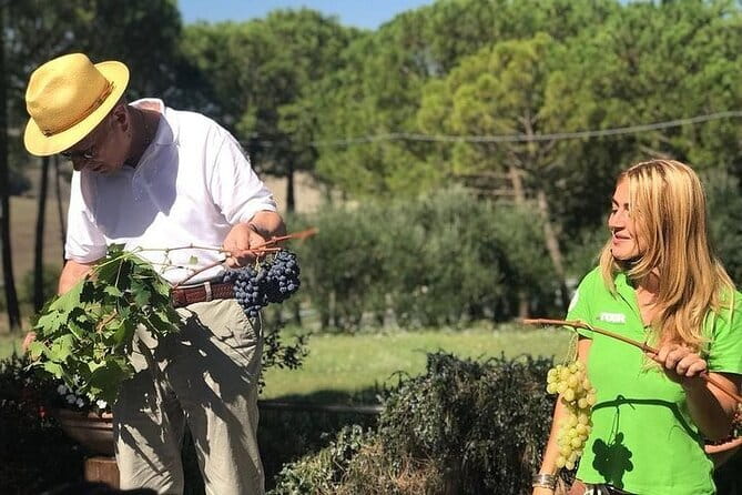 San Gimignano, Siena, Monteriggioni: Fully Escorted Tour, Lunch & Wine Tasting - Should you book it?