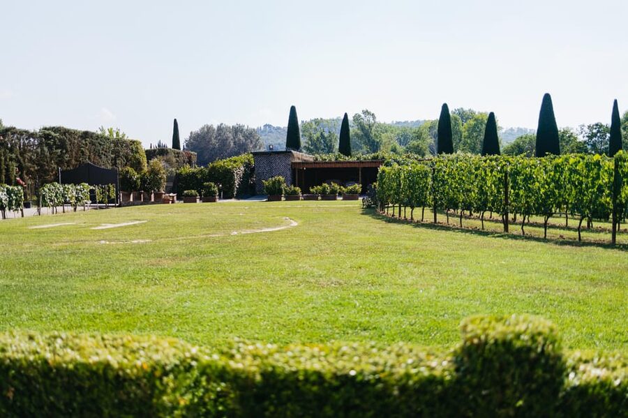 San Gimignano: Tuscan Vineyard Lunch with Wine Tasting - The food: local products rather than a quick snack