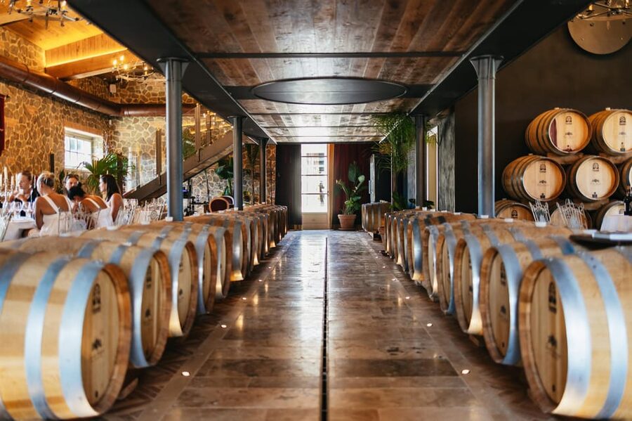 San Gimignano: Tuscan Vineyard Lunch with Wine Tasting - Getting there and fitting it into your day