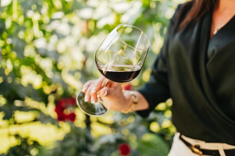 San Gimignano: Tuscan Vineyard Lunch with Wine Tasting - What happens during the two-hour visit