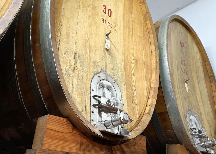 San Gimignano: Vineyard and Cellar Tour with Wine Tasting - Tuscan food pairings beyond the wine