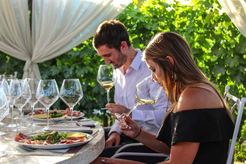 San Gimignano: Wine and Oil Tasting with Tuscan Appetizers - A scenic start at Tenuta Torciano