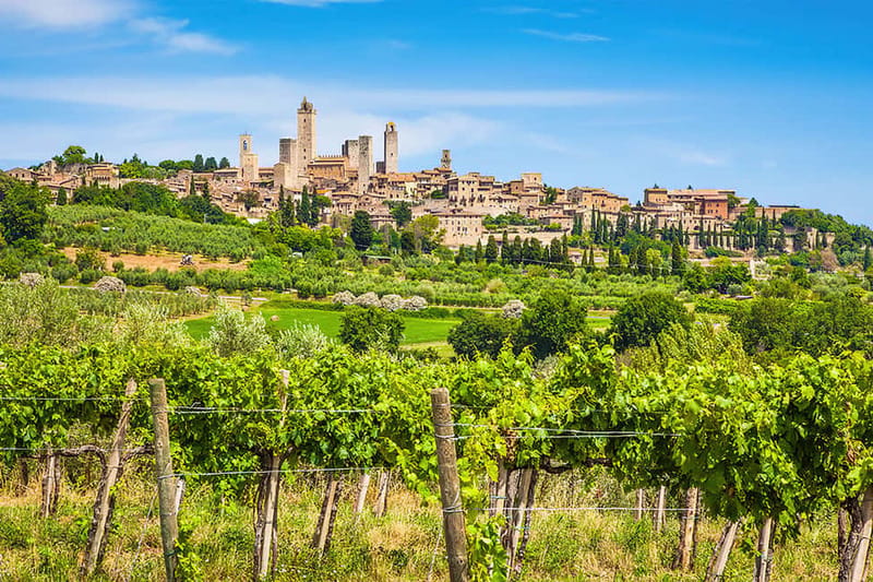San Gimignano: Wine and Oil Tasting with Tuscan Appetizers - What to know before booking