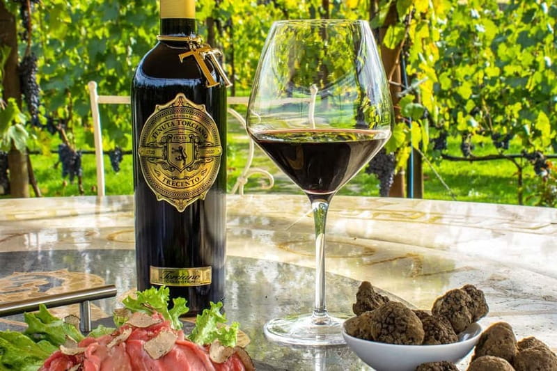 San Gimignano: Wine and Oil Tasting with Tuscan Appetizers - What happens during the one-hour tasting