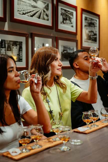 San Juan: Casa Bacardi Distillery Tour - A Short Trolley Ride Around the Property