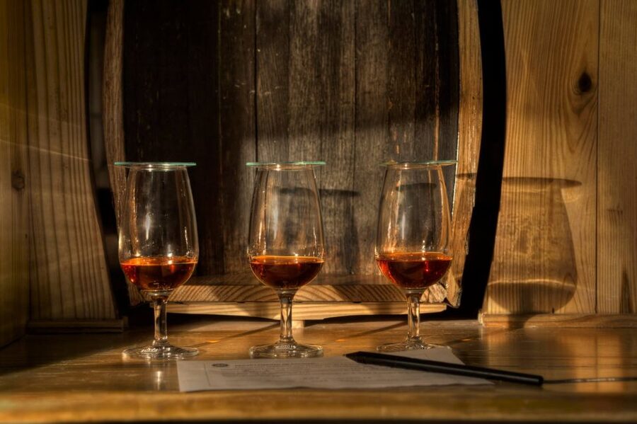 San Pedro De Macoris: Ron Barcerló Rum Factory Tour - Getting there and finding the entrance