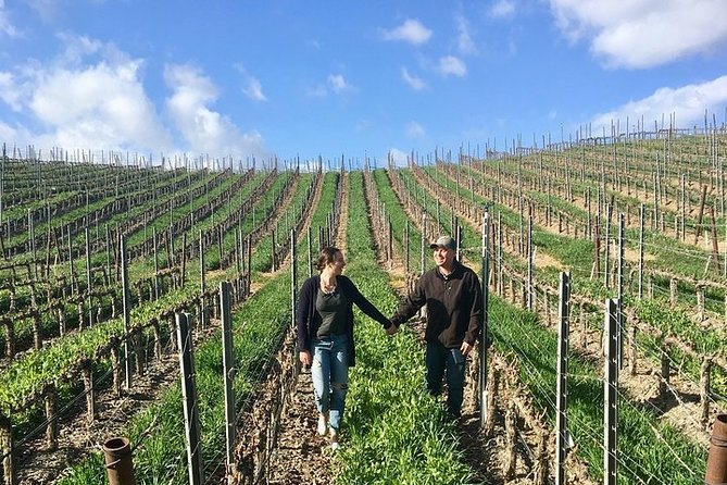 Santa Barbara Small-Group Wine Tour to Private Estates & Wineries - What you are really paying for at $235