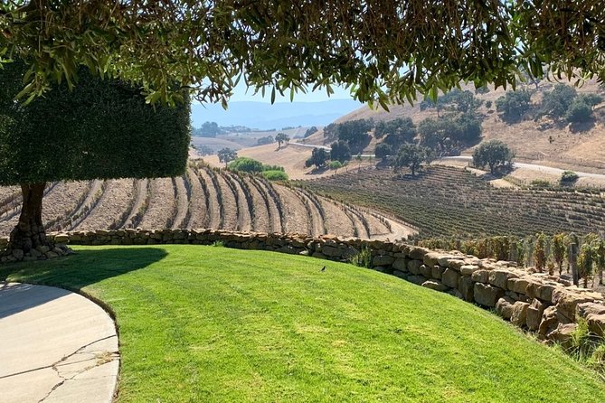 Santa Barbara Vineyard to Table Taste Tour by E-Bike - Rancho Olivos and the olive-oil lesson