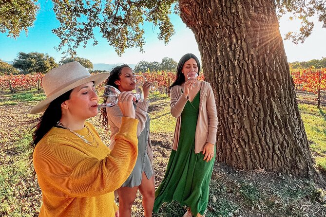 Santa Ynez Wine Tour (All-Inclusive) - From Santa Barbara to the Santa Ynez Valley