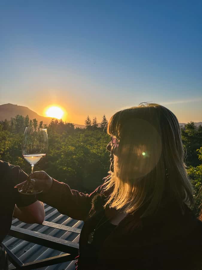 Santiago: Alyan Winery Sunset with Wine Tastings and Dinner - Who will enjoy Alyan most