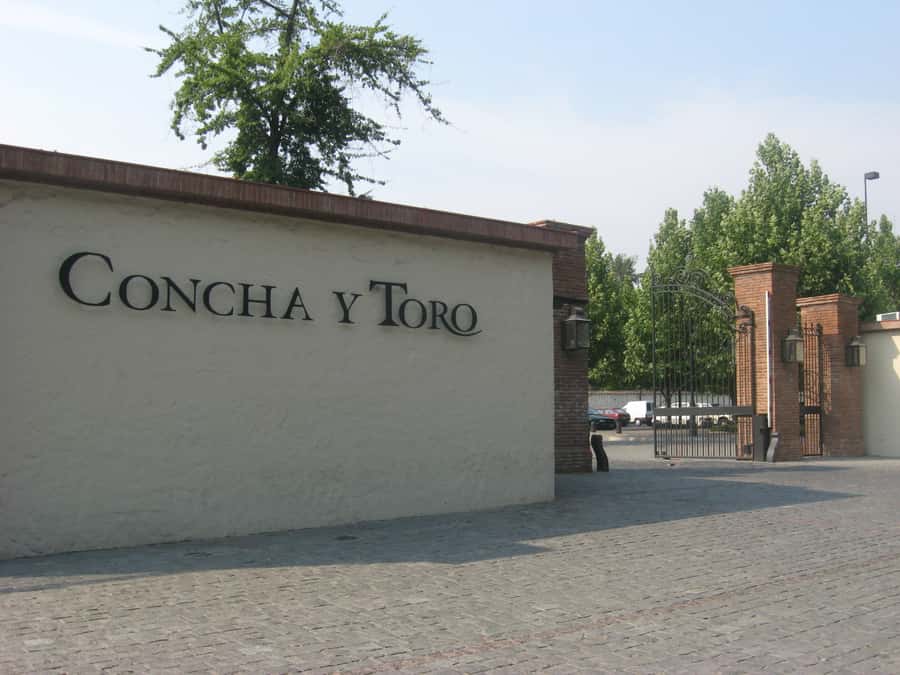Santiago: Concha y Toro and Undurraga Vineyards Tour - Who should book this experience?