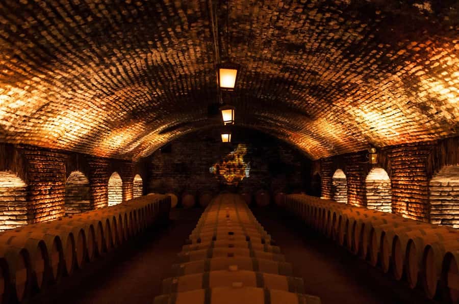Santiago: Concha y Toro and Undurraga Vineyards Tour - Two wineries, two different sides of Chilean wine