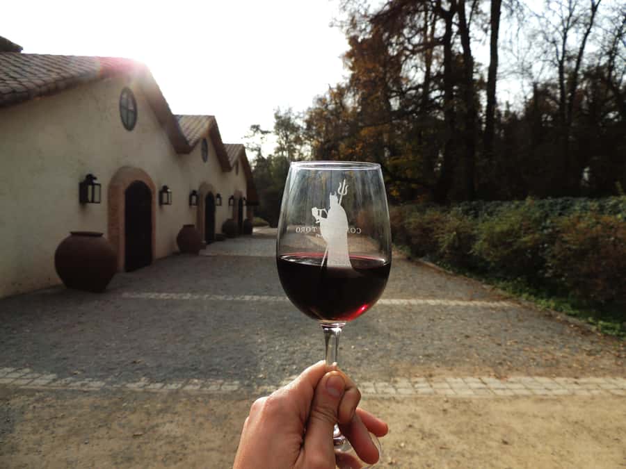 Santiago: Concha y Toro and Undurraga Vineyards Tour - The long break between winery visits