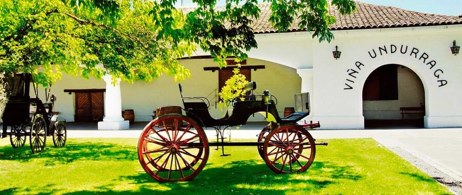 Santiago: Concha y Toro and Undurraga Vineyards Tour - Is the $76 price fair?
