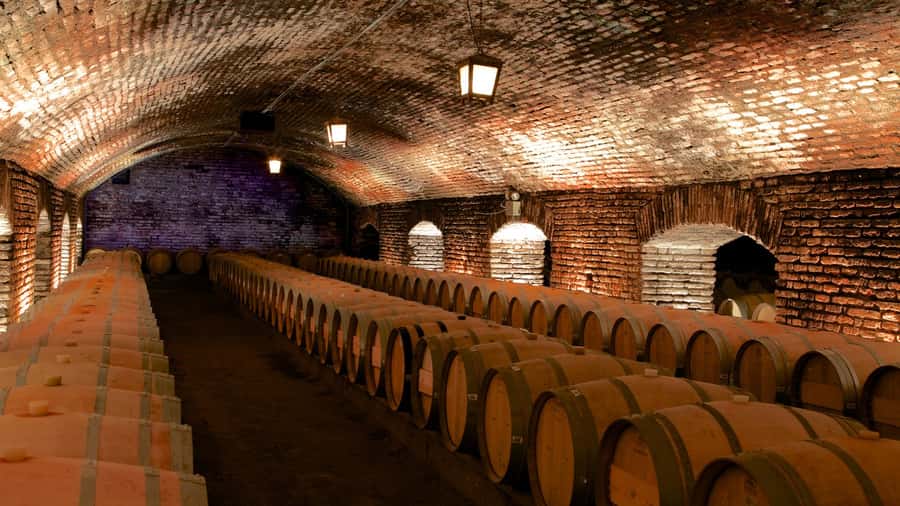 Santiago: Concha y Toro Vineyard Tour w/ Transfer & Tasting - From Santiago to Pirque in a shared van