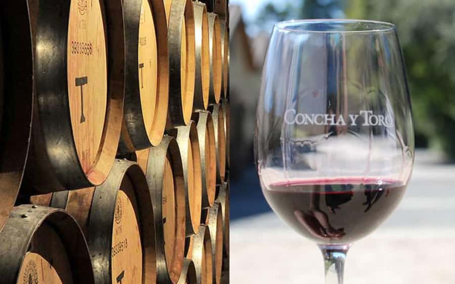 Santiago: Concha y Toro Vineyard Tour w/ Transfer & Tasting - Standard tasting or the Marques de Casa Concha upgrade