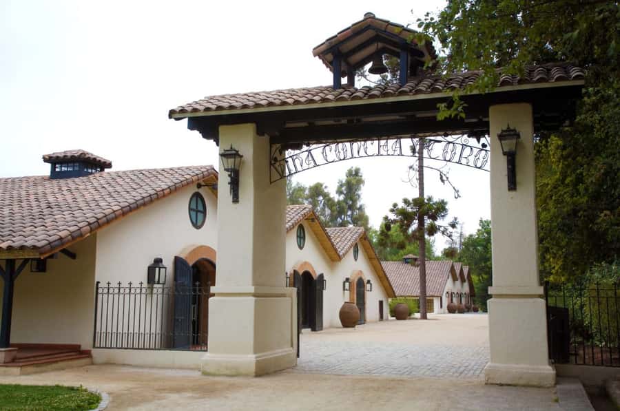 Santiago: Concha y Toro Vineyard Tour w/ Transfer & Tasting - Walking among the vines in Pirque
