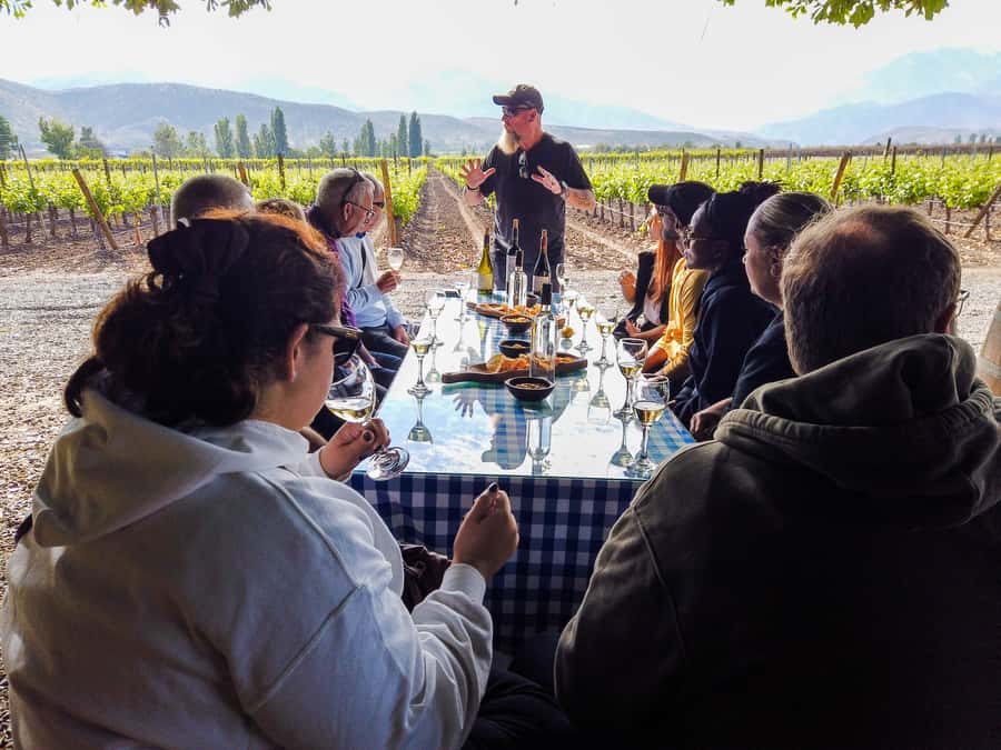 Santiago: Inca Lagoon Tour with Local Vineyard and Tasting - Who should book this Andes day?