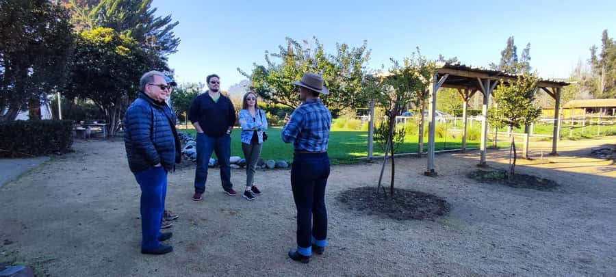 Santiago: Maipo Valley Wine Tasting Tour with 4 Vineyards - Who should book this experience?