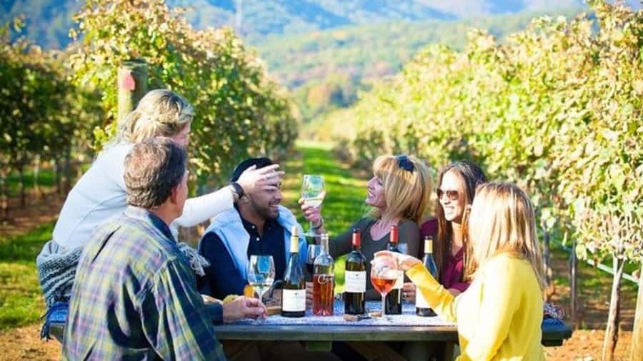Santiago: Maipo Valley Wine Tasting Tour with 4 Vineyards - Why Maipo Valley works as a day trip from Santiago