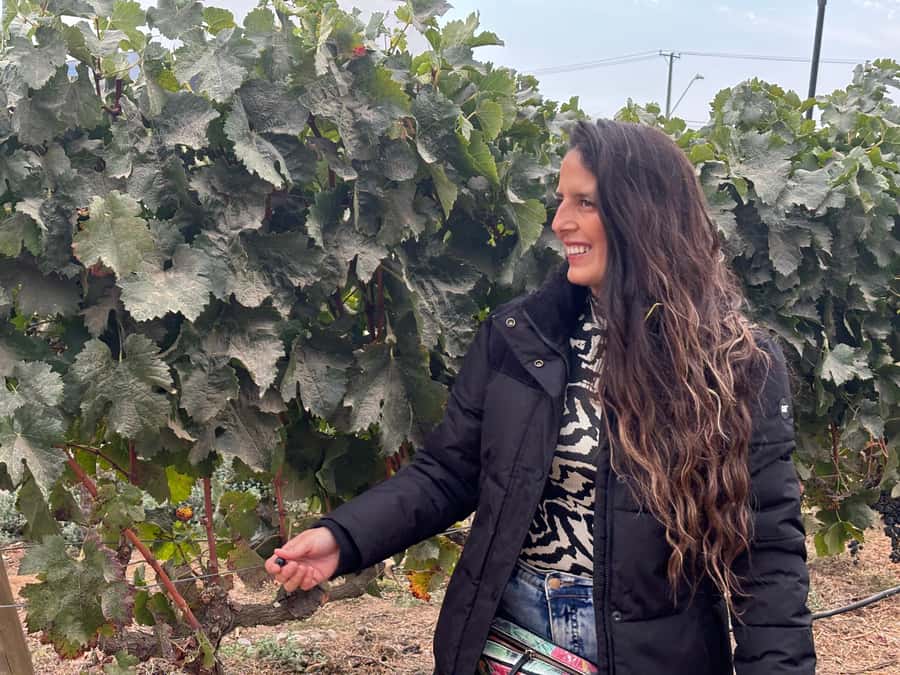 Santiago: Maipo Valley Wine Tasting Tour with 4 Vineyards - Santa Ema shifts from farm visit to classic winery tasting