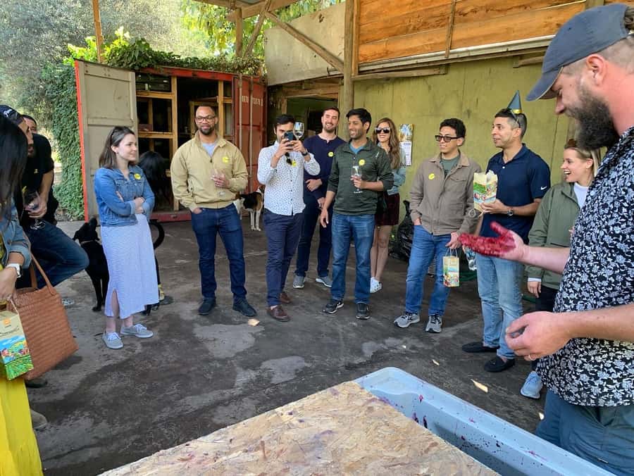 Santiago: Maipo Valley Wine Tasting Tour with 4 Vineyards - TerraMater is the pause for lunch, not a full fourth tasting