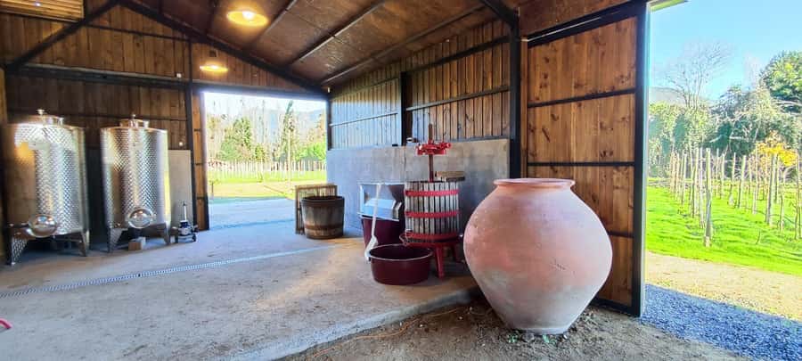 Santiago: Maipo Valley Wine Tasting Tour with 4 Vineyards - Transport, comfort, and the long day