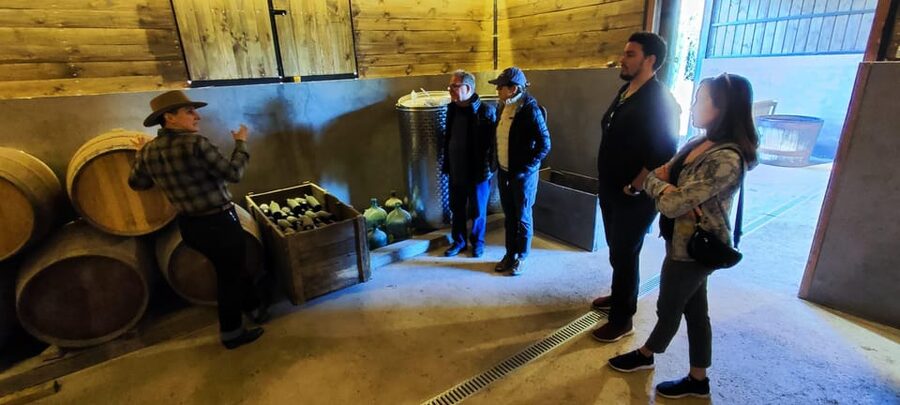 Santiago: Maipo Valley Wine Tasting Tour with 4 Vineyards - Is $134 good value for this Maipo Valley tour?
