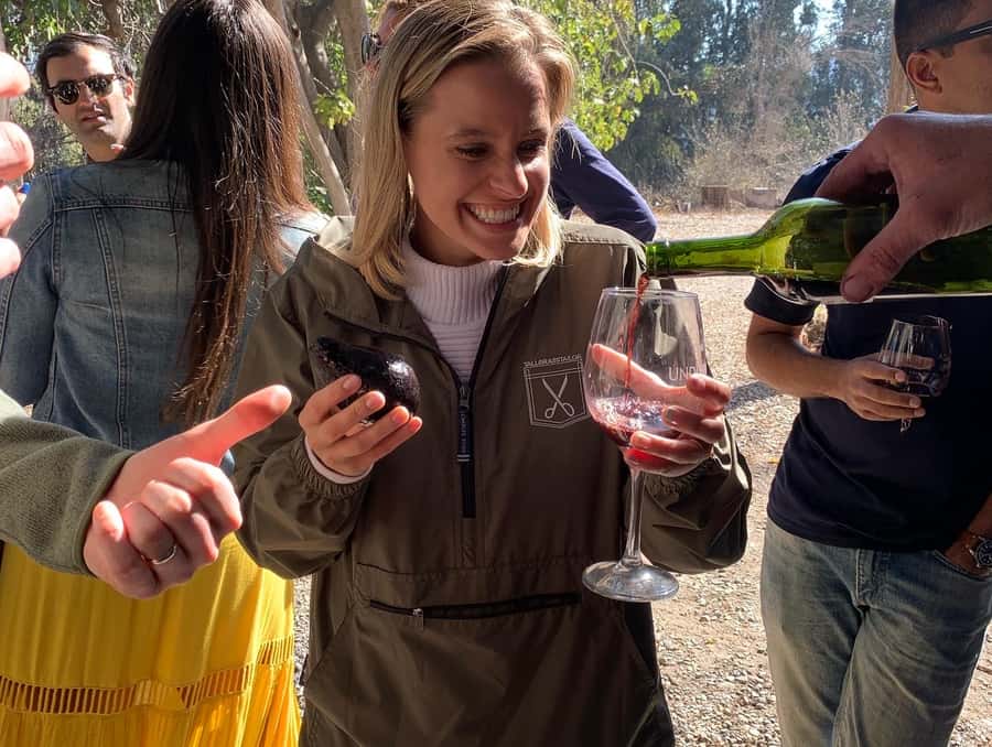 Santiago: Maipo Valley Wine Tasting Tour with 4 Vineyards - Campo La Quirinca brings the day down to earth